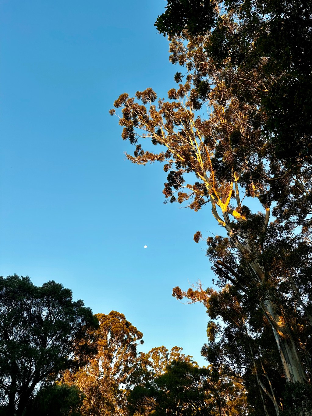 2 DAYS IN MARGARET&nbsp;RIVER